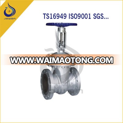 Iron Casting Pump Valve Gate Valve Check Valve